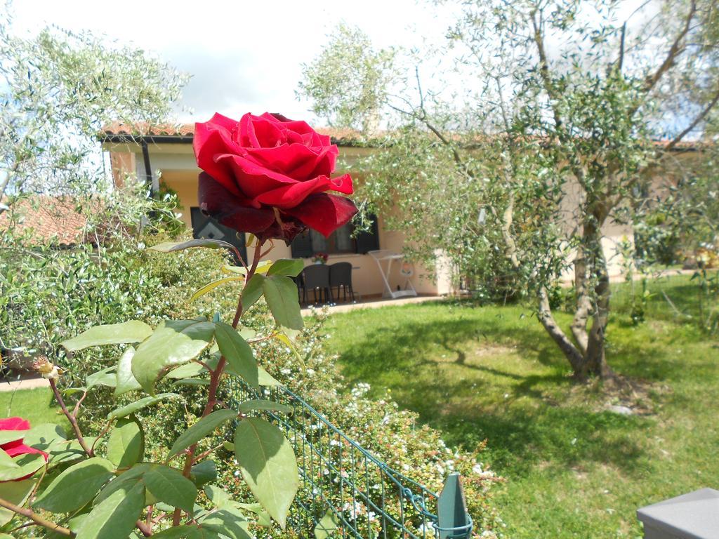 Landhaus Poggio Degli Olivi Saturnia