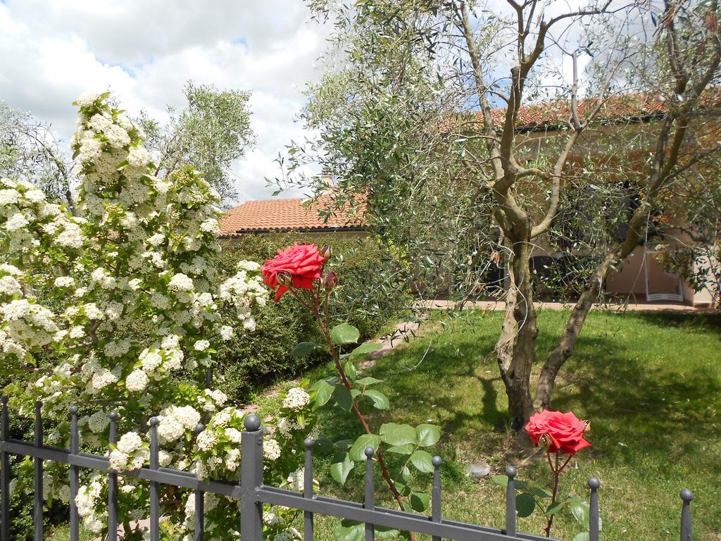 Poggio Degli Olivi * Saturnia