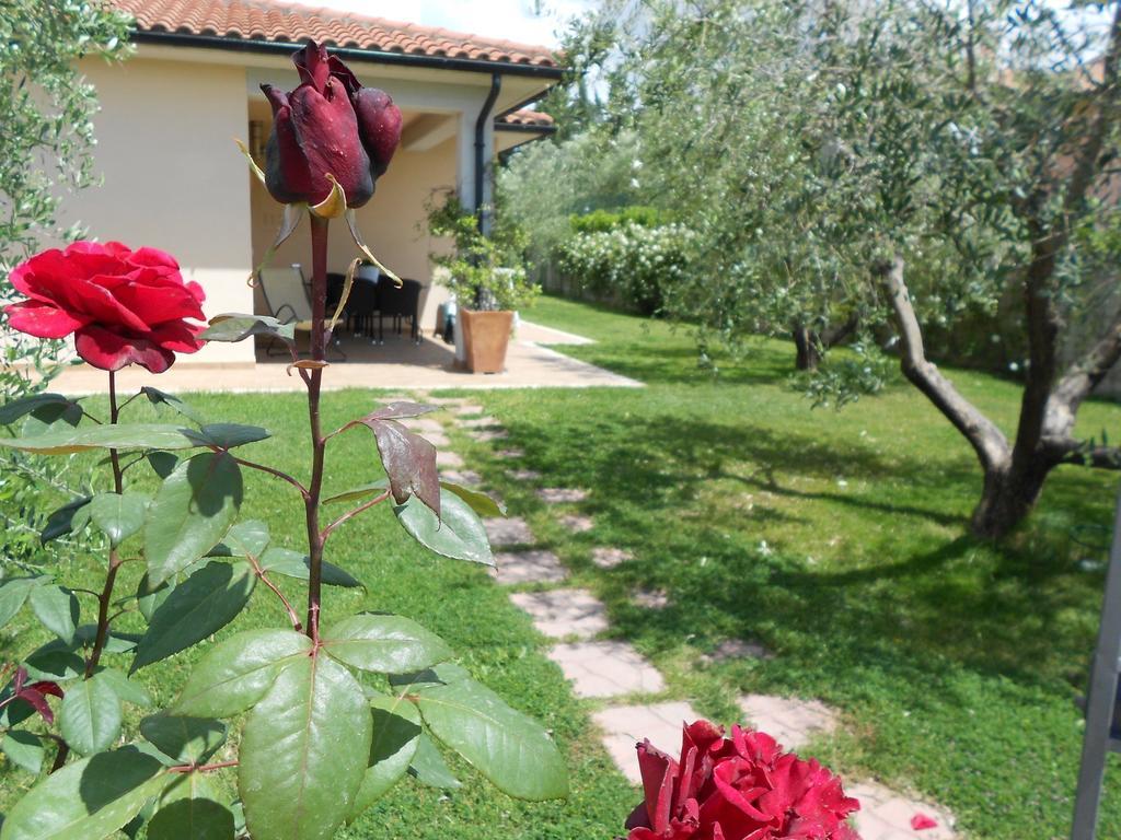 Poggio Degli Olivi Landhaus