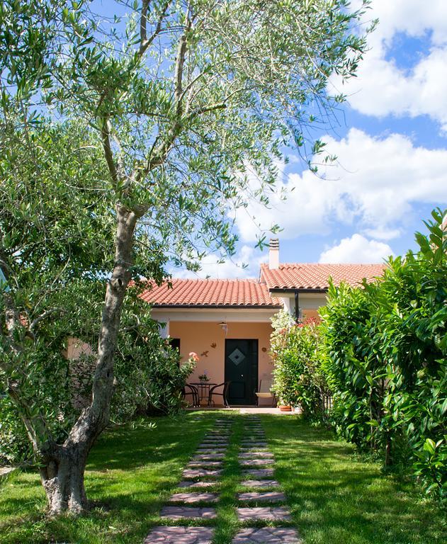 Poggio Degli Olivi