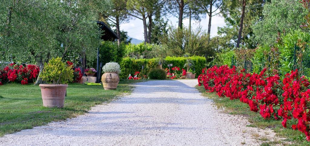 Poggio Degli Olivi Casa de Campo *
